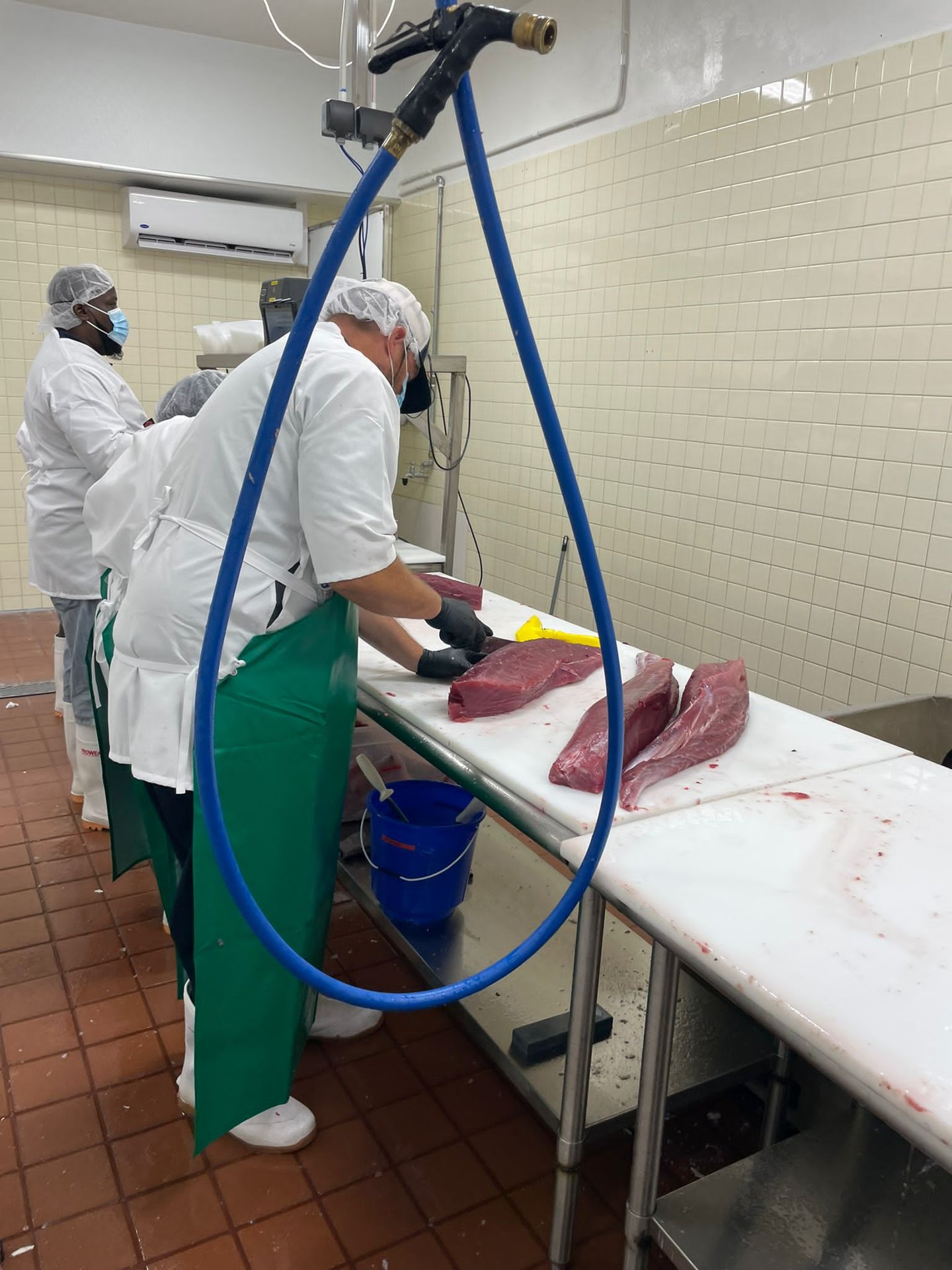 GNExTT tuna loins ready for weighing and vacuum sealing