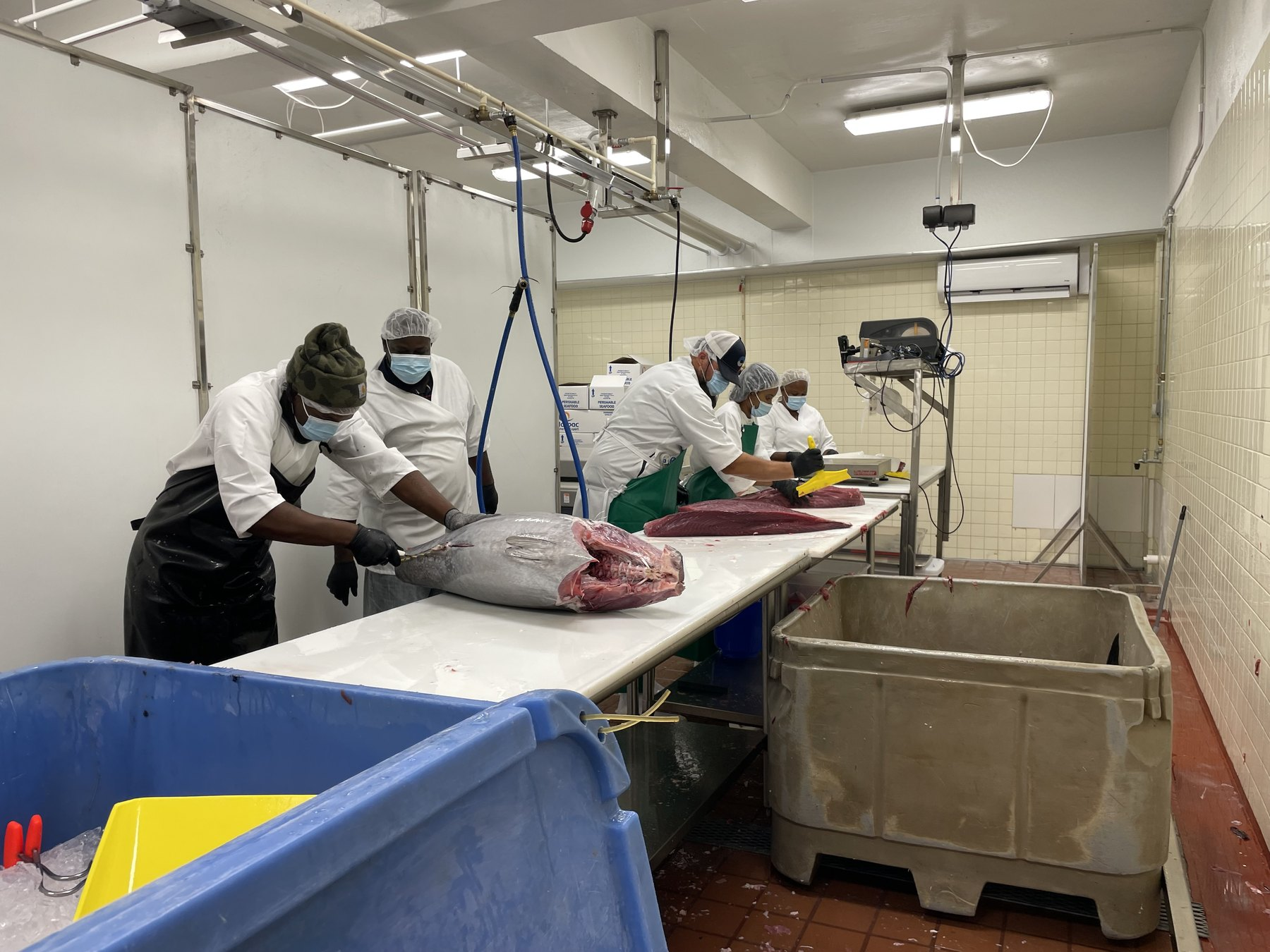 GNExTT processing team in protective clothing