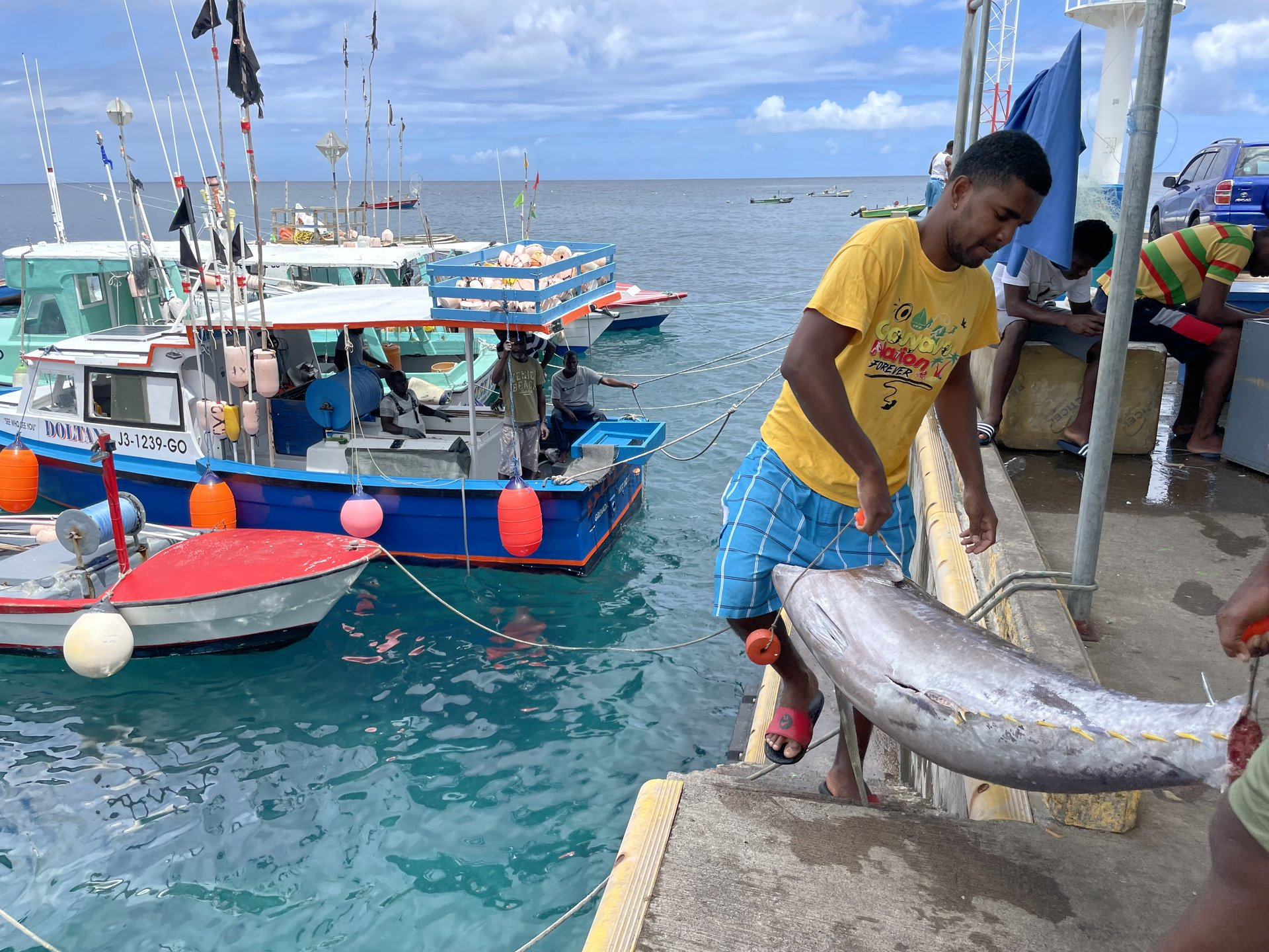 Grenada fishing boats