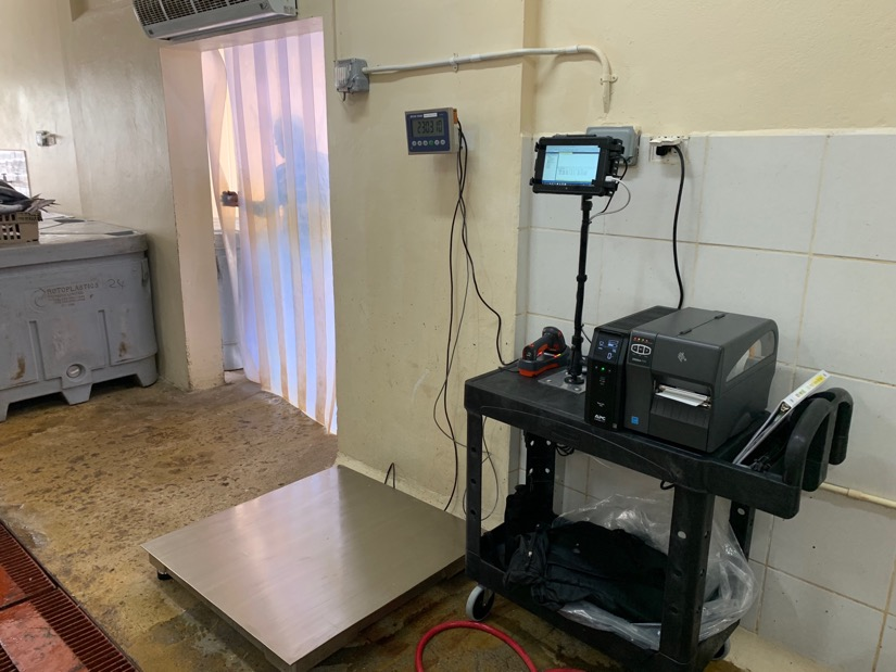 Floor scale station with tablet and Zebra label printer for weighing and labelling intake