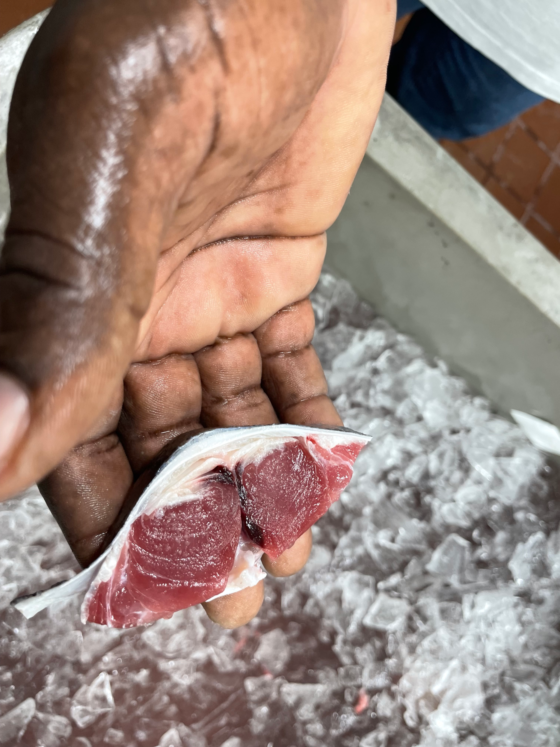 Tuna grading at the Gouyave facility